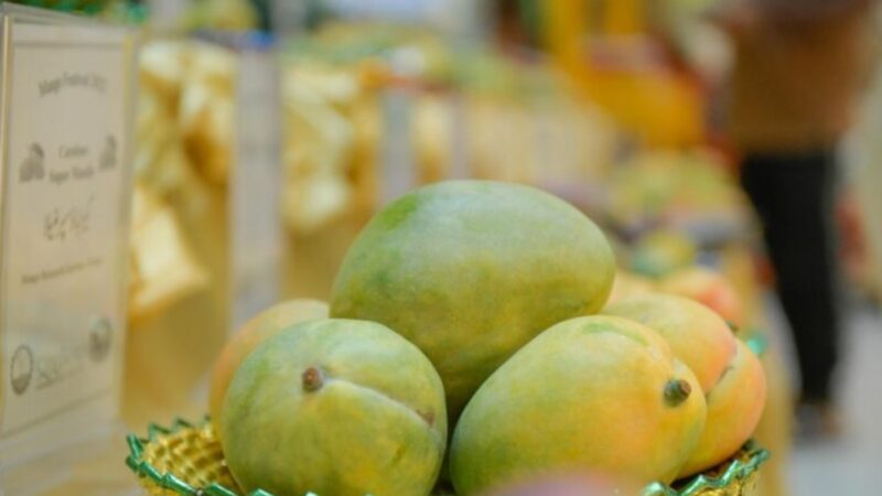 6th Annual MANGO FESTIVAL AT THE CENTAURUS MALL ISLAMABAD